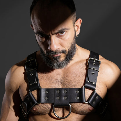 Arnés de cuero rígido PARDUS